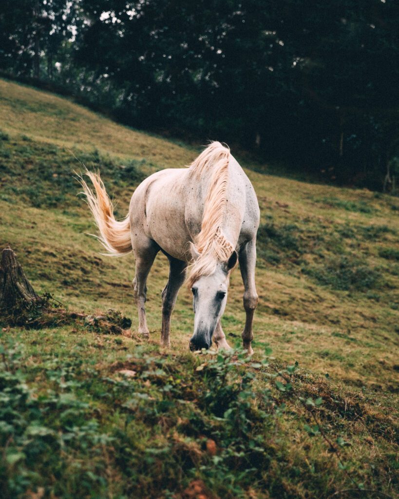 curiosidad abierta cariño hacia ti mismo y sentido del humor